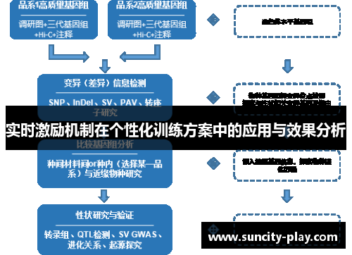 实时激励机制在个性化训练方案中的应用与效果分析